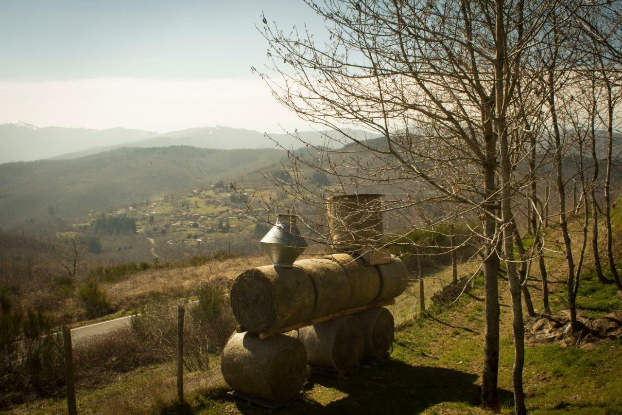 B&B Vista Casentino Pratovecchio Kültér fotó