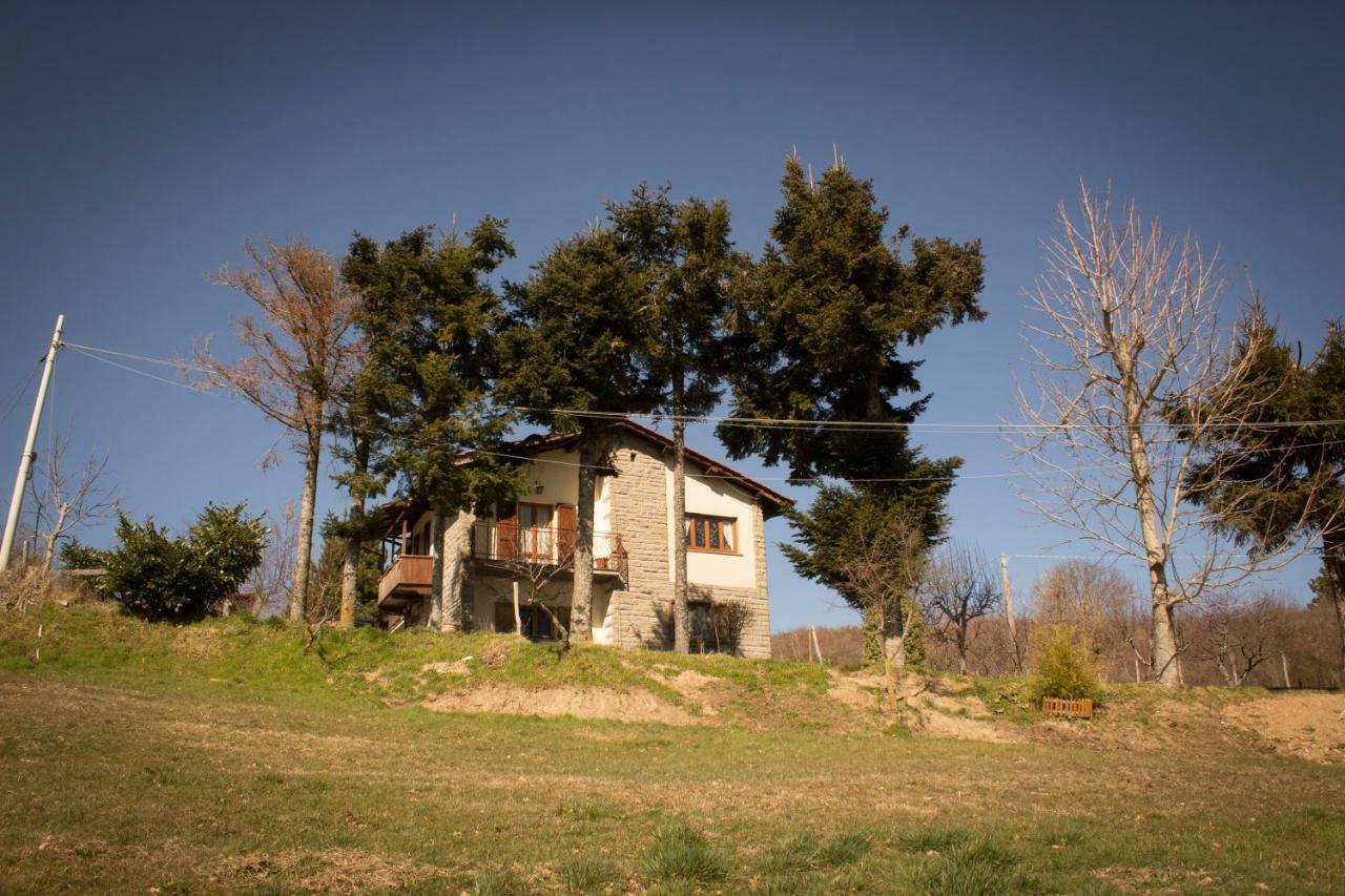 B&B Vista Casentino Pratovecchio Kültér fotó