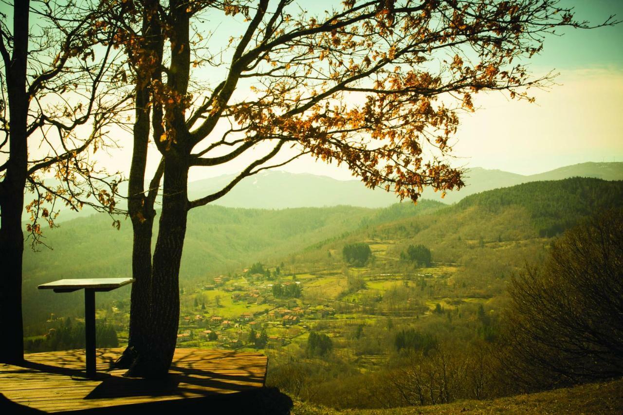 B&B Vista Casentino Pratovecchio Kültér fotó