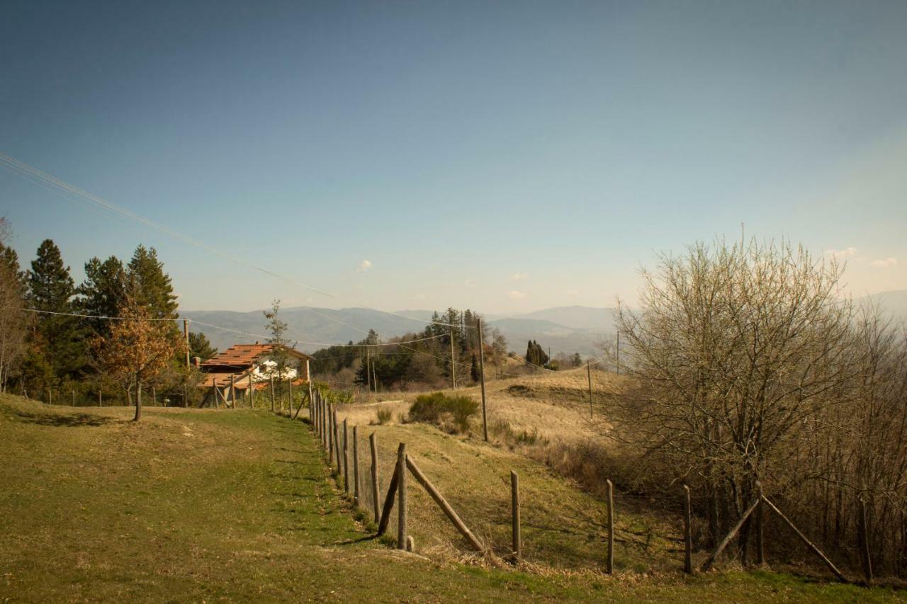 B&B Vista Casentino Pratovecchio Kültér fotó