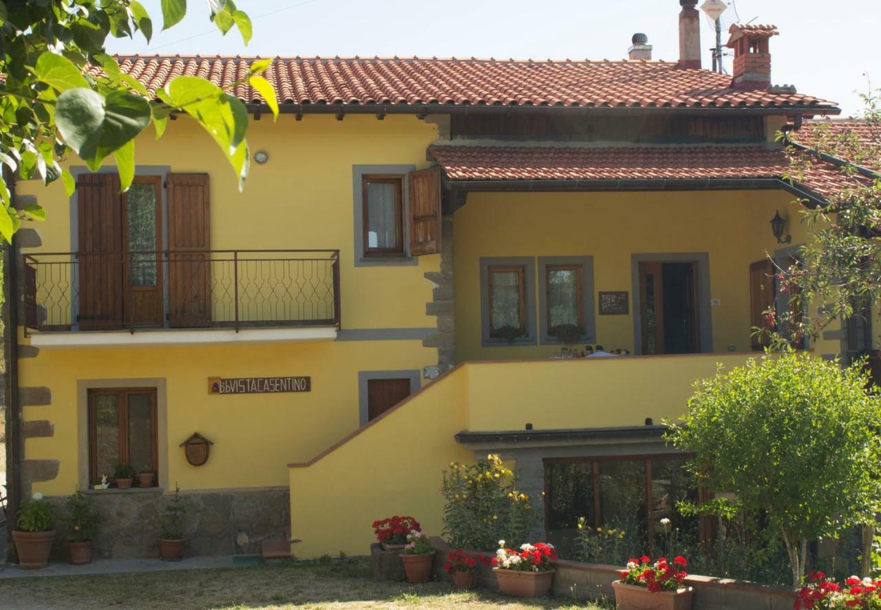 B&B Vista Casentino Pratovecchio Kültér fotó