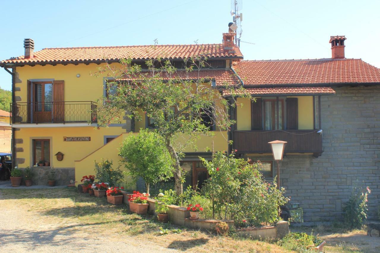 B&B Vista Casentino Pratovecchio Kültér fotó